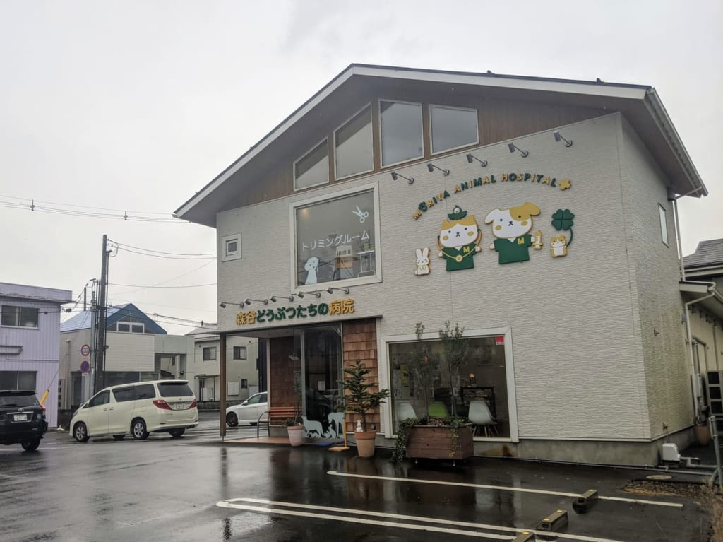 森谷どうぶつたちの病院