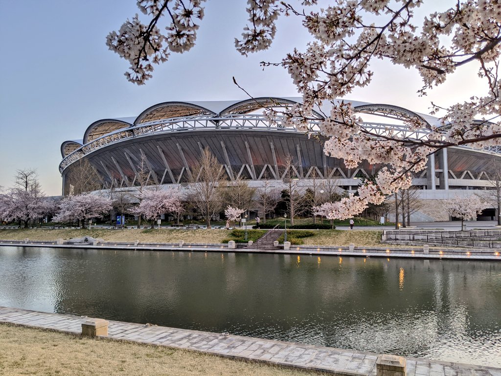 ビッグスワン　桜