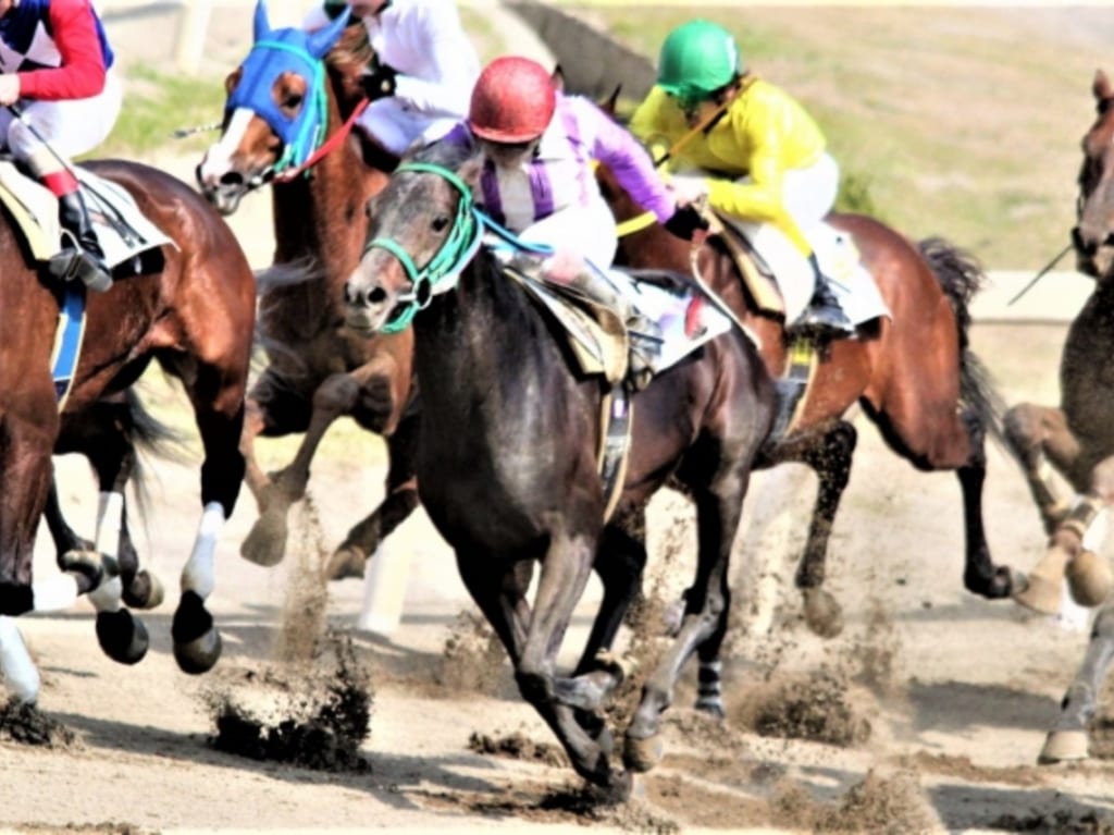 競馬 イメージ