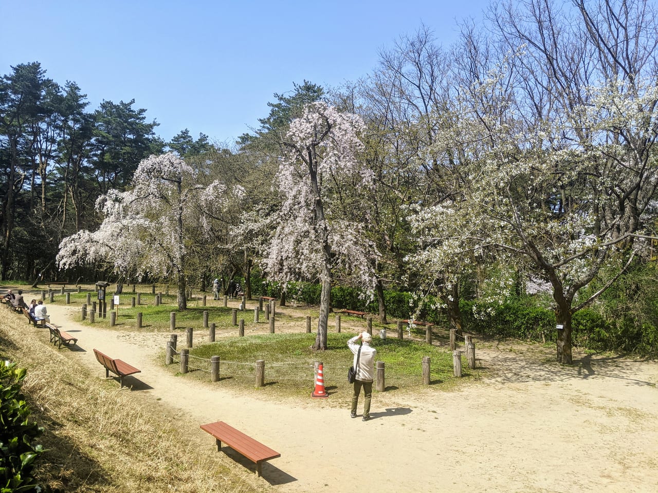 じゅんさい池公園02