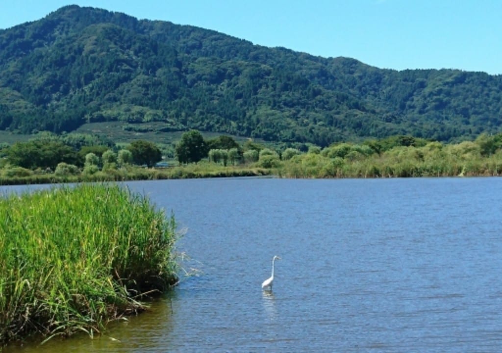 角田山　上堰潟公園