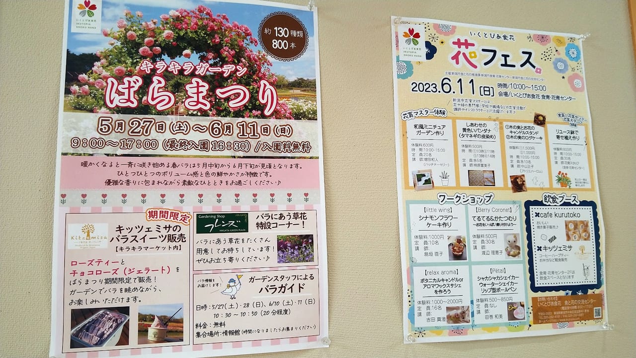 新潟市中央区いくとぴあ食花ばらまつりと花フェスのポスター