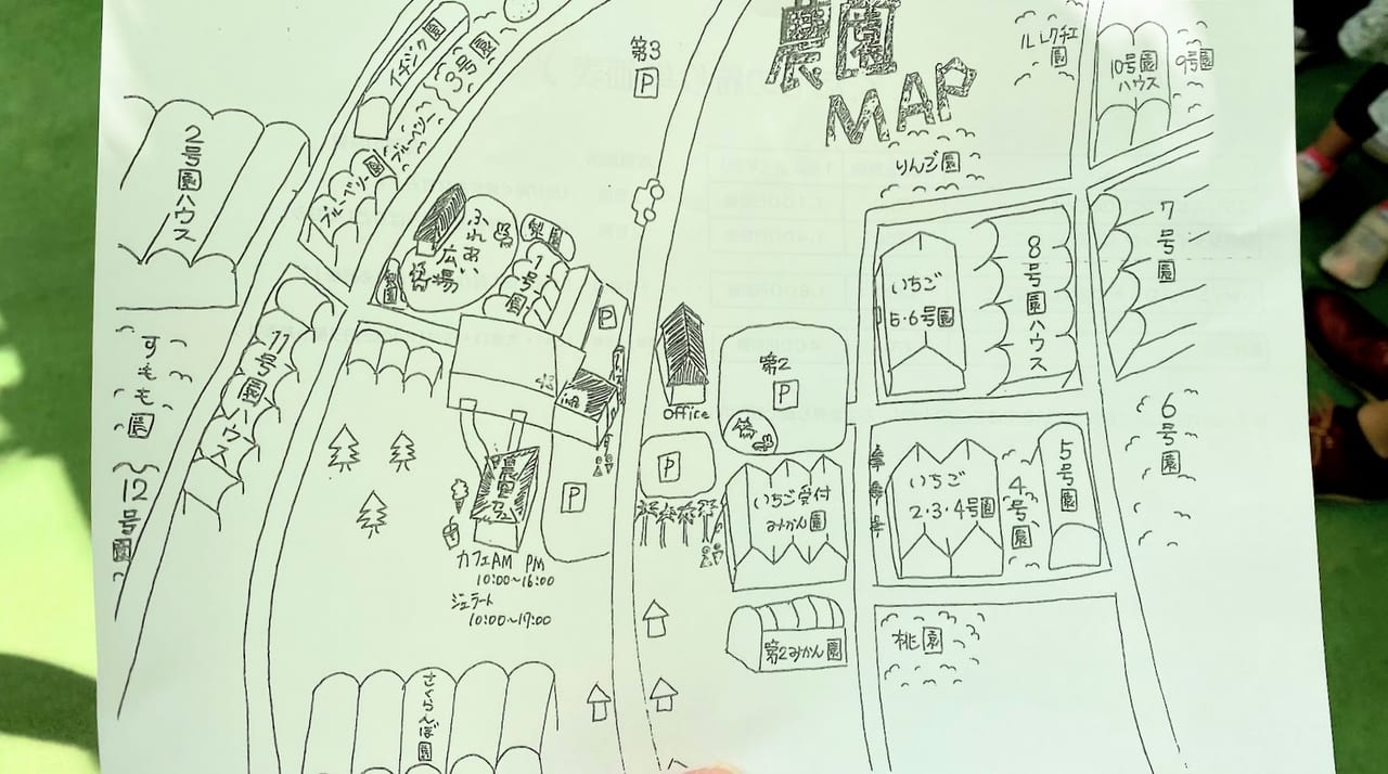 新潟市南区の白根グレープガーデンの農園ＭＡＰ