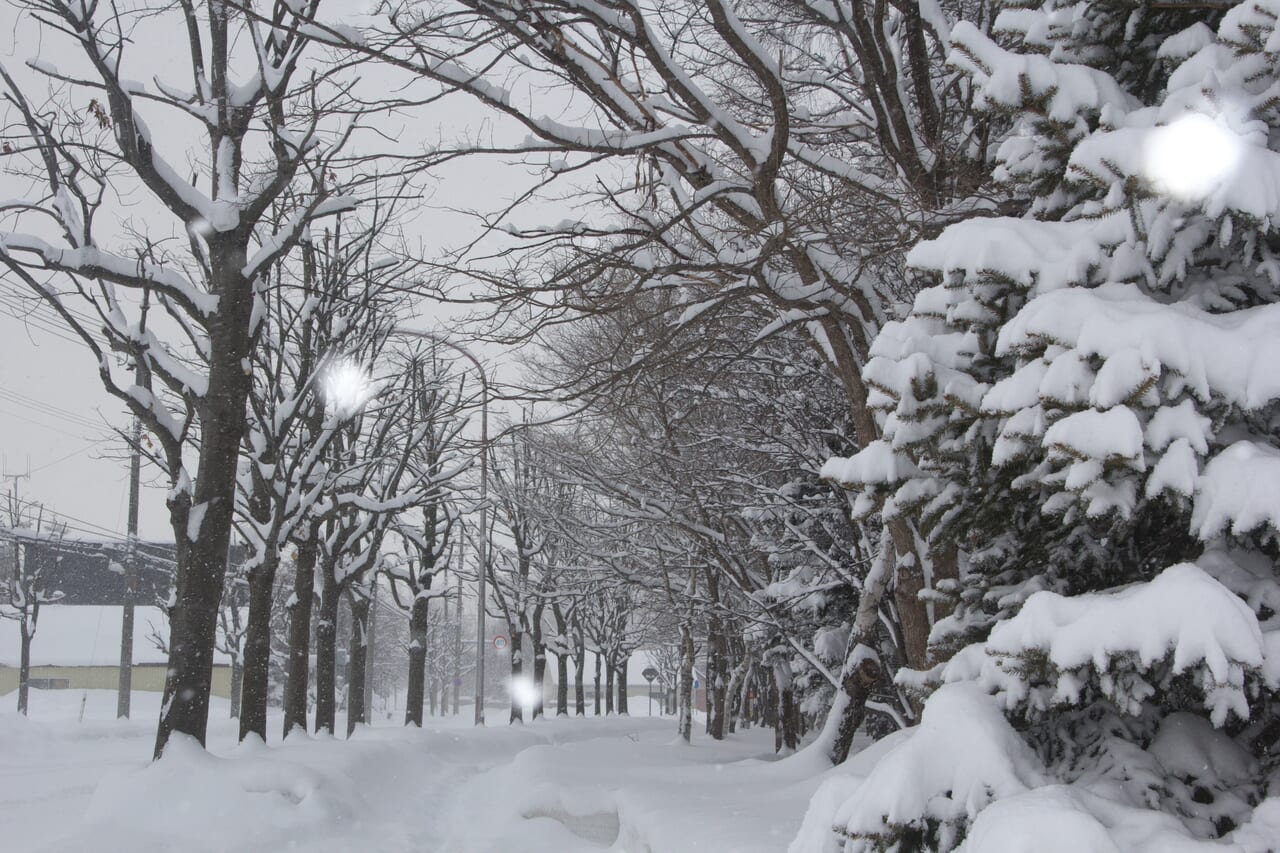 雪景色のイメージ