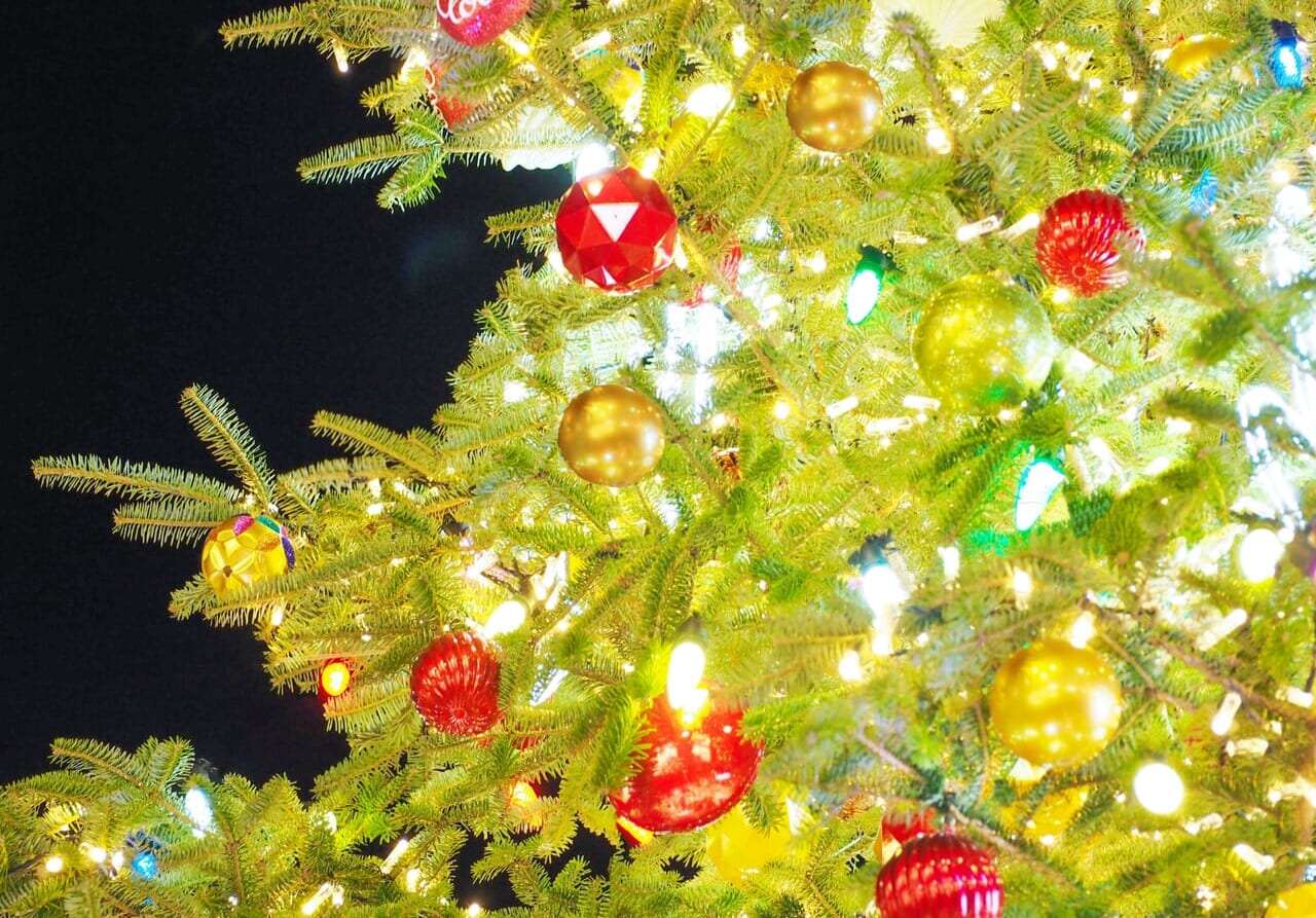 クリスマスツリーのイメージ