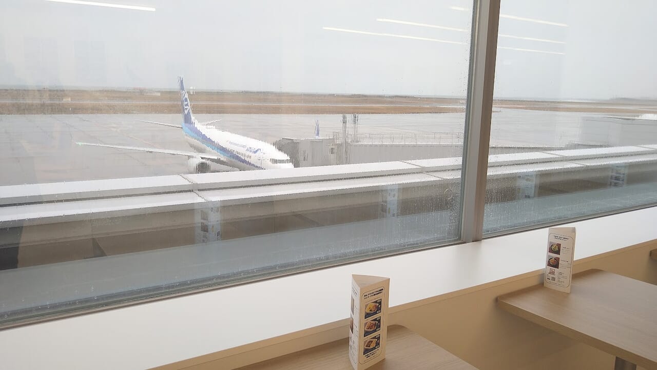 新潟空港内の米まいテラスからの眺め