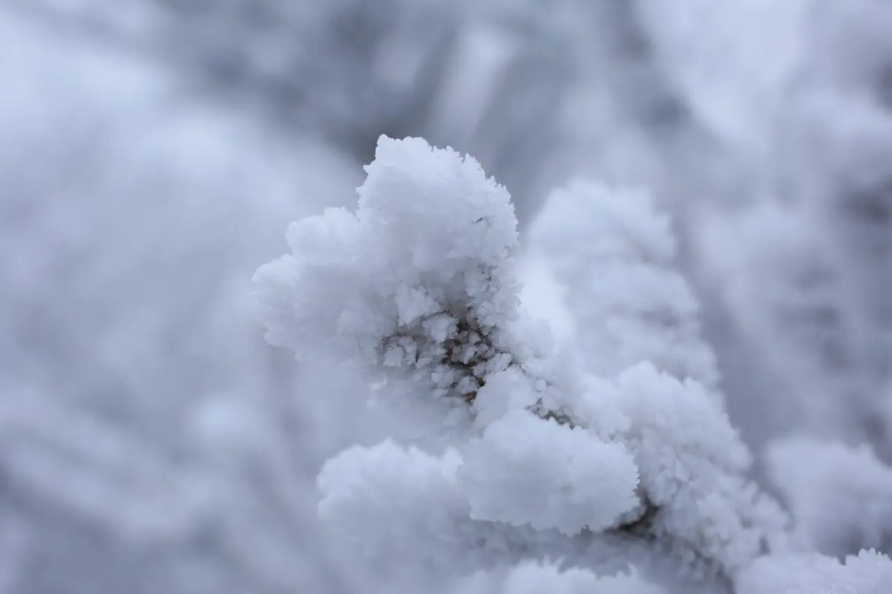 雪のイメージ