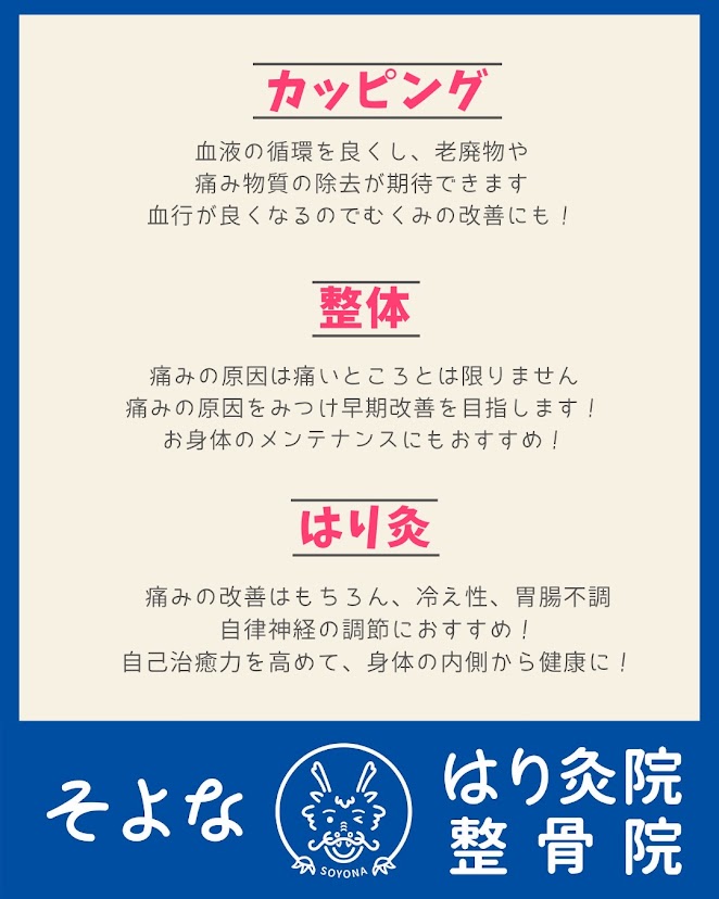 そよなはり灸院整骨院施術一覧