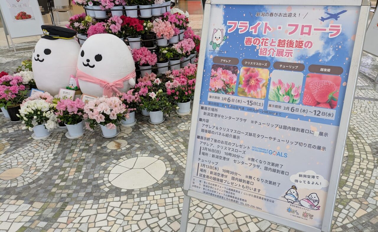 フライトフローラ春の花と越後姫の紹介展示