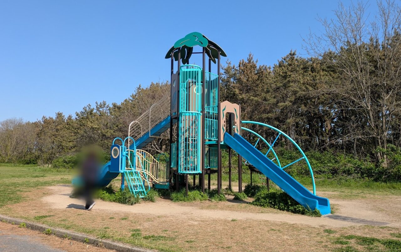 新潟市中央区の西海岸公園の遊具
