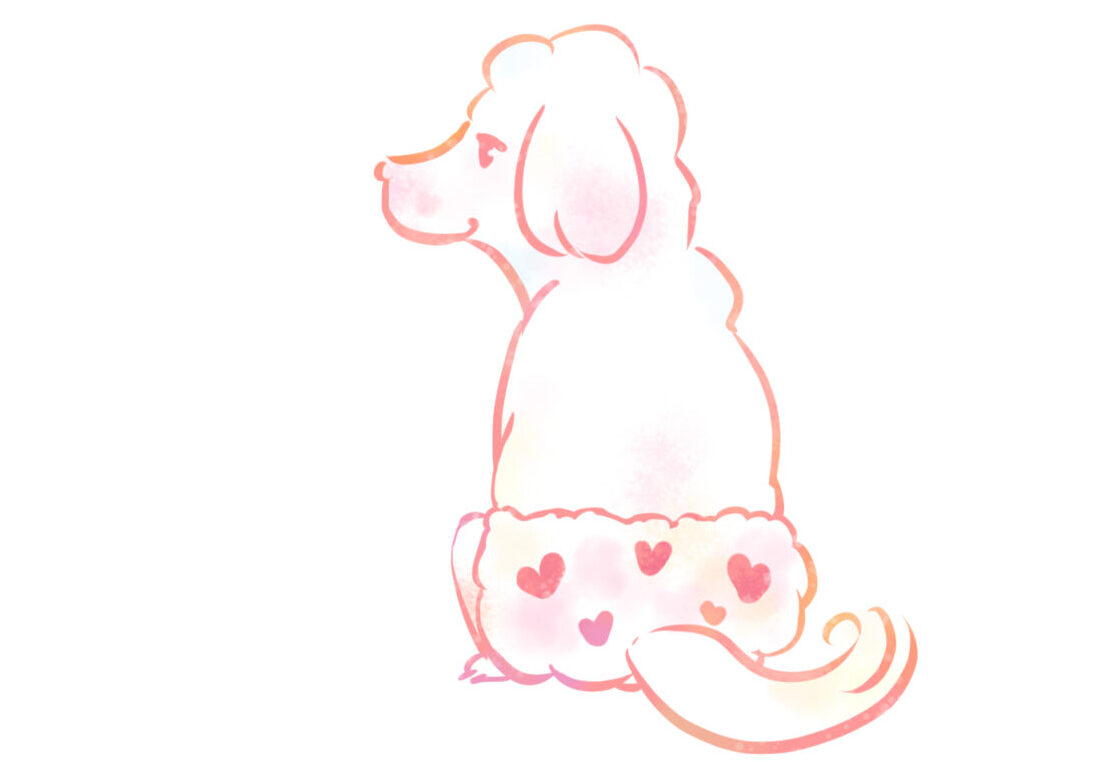 マナーパンツのイメージ