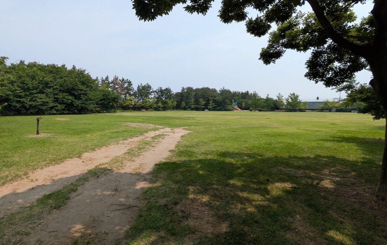 新潟市東区の山の下海浜公園プールの臨時駐車場