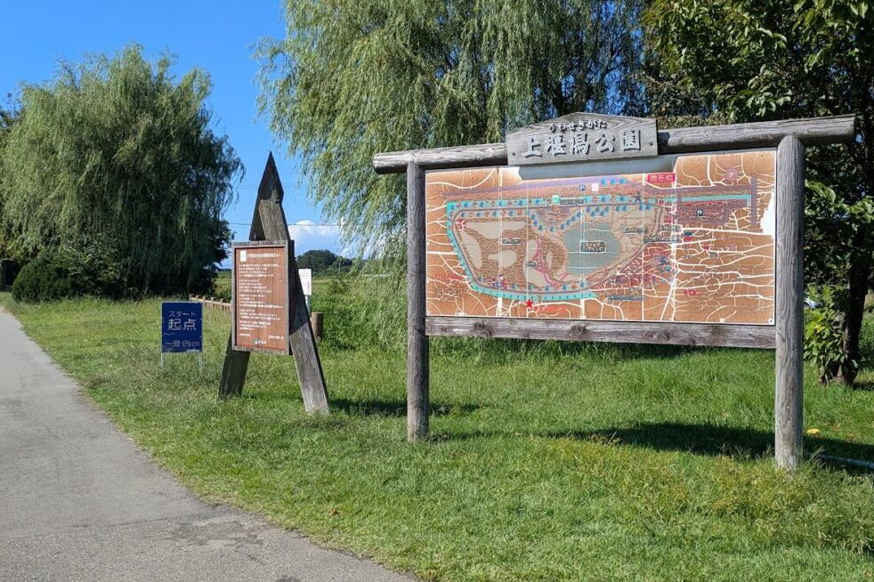 新潟市西蒲区松野尾の上堰潟公園