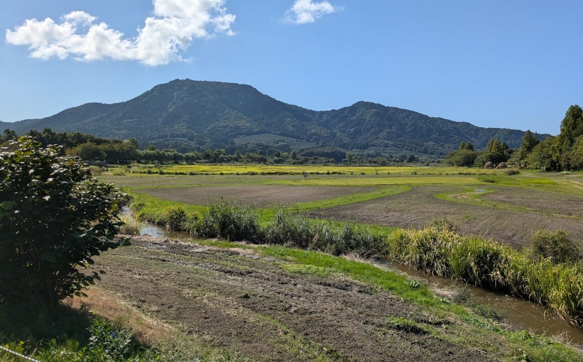 新潟市西蒲区松野尾の上堰潟公園