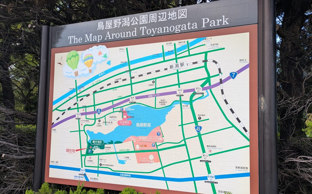 新潟市中央区の鳥屋野潟公園（鐘木地区）