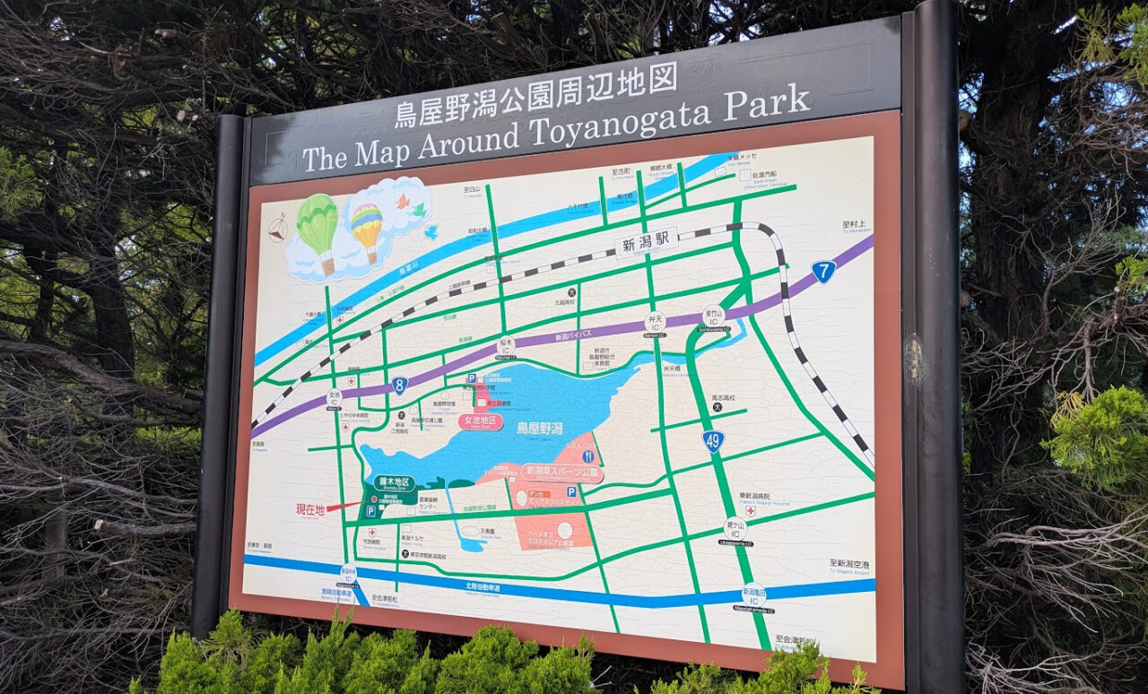 新潟市中央区の鳥屋野潟公園(鐘木地区)