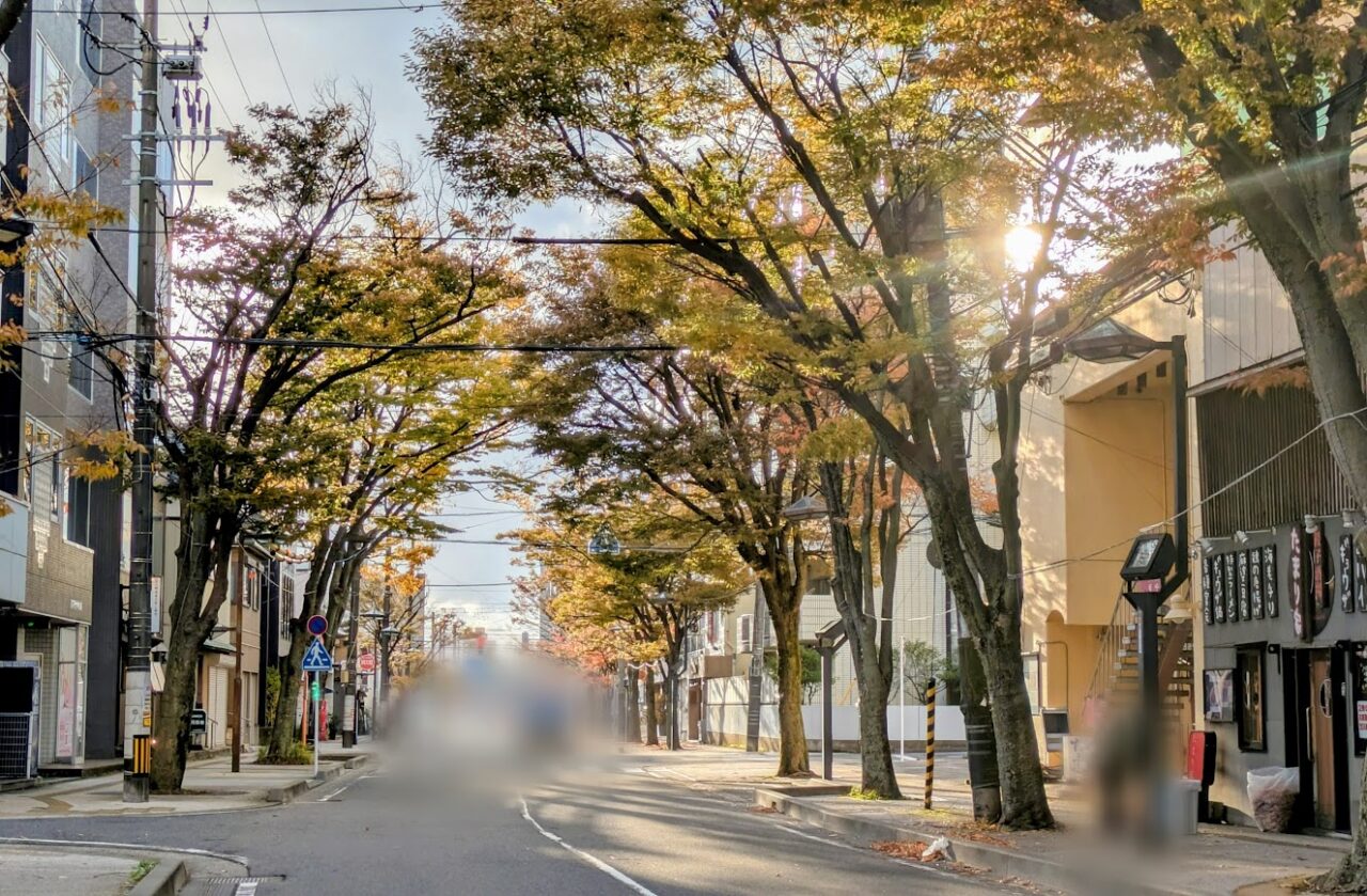 新潟市中央区のけやき通り