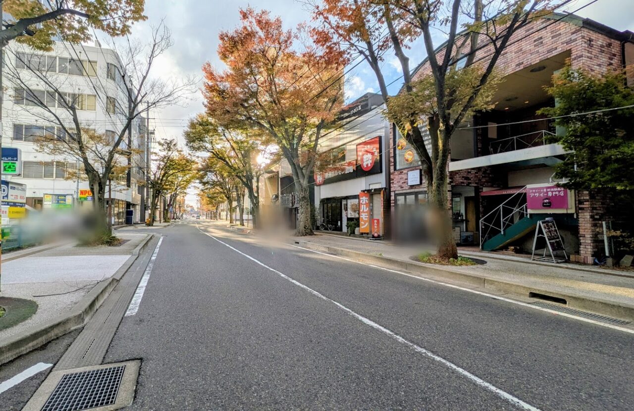 新潟市中央区のけやき通り